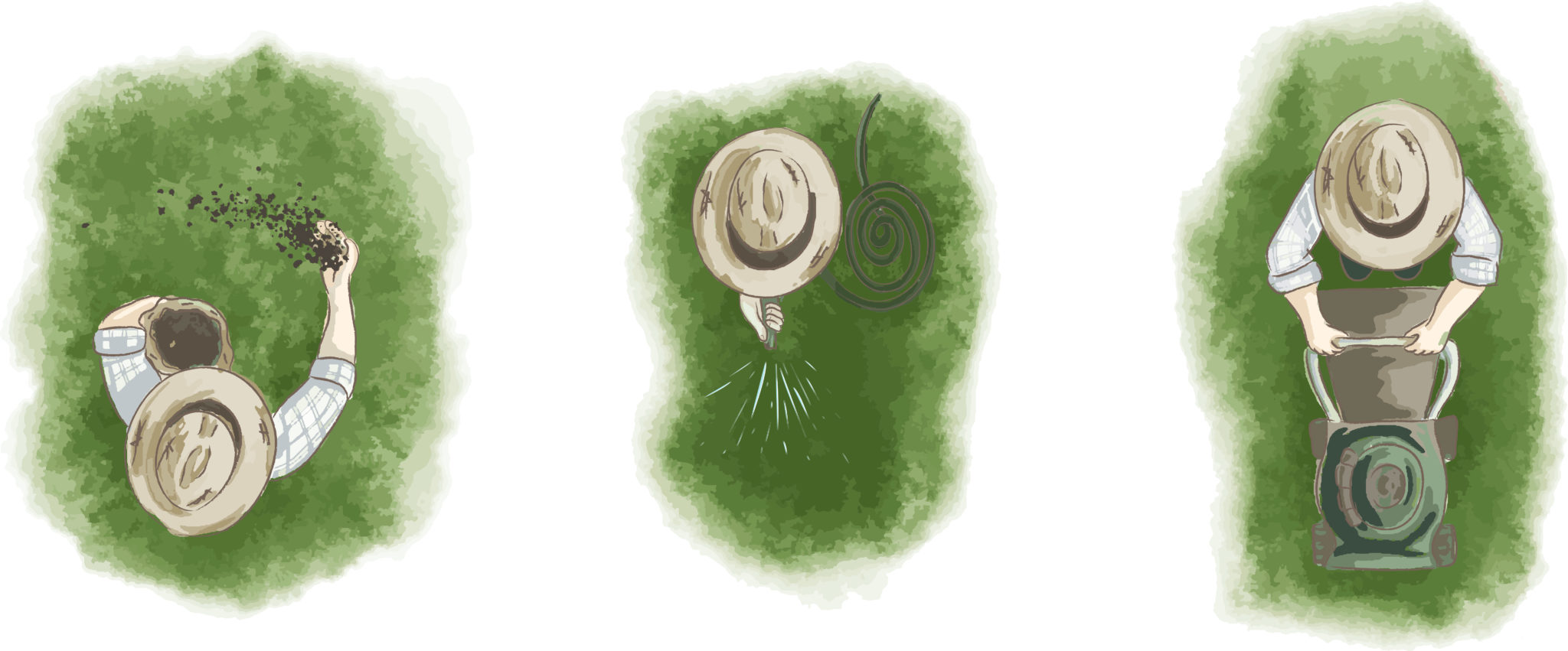 Rasenmeister Düngeempfehlung - Naturmeister